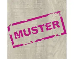 Handmuster Vinylboden 6.0 Watercork Silver Snow Oak