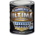 Hornbach HAMMERITE Metallschutzlack Ultima SILBER RAL 9006 silber glänzend 750 ml