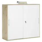 XXXLutz Lauterach - Ihr Möbelhaus bei Bregenz Aktenschrank 120/110/40 cm