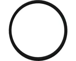 O-ring für UVC-Einheit