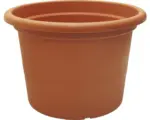 Hornbach Blumentopf Campanula Kunststoff Ø 50 cm H 35,5 cm braun