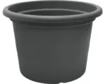 Hornbach Blumentopf Campanula Kunststoff Ø 50 cm H 35,5 cm anthrazit