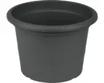 Hornbach Blumentopf Campanula Kunststoff Ø 28 cm H 19,6 cm anthrazit