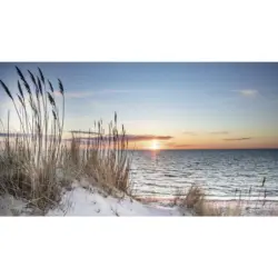 Acrylglasbild 100/180 cm