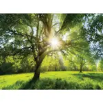 XXXLutz Lauterach - Ihr M&ouml;belhaus bei Bregenz Keilrahmenbild 135/100 cm