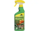 Hornbach Fungizid Mehltaufrei Neudorff Armisan für Obst & Gemüse anwendungsfertig 500 ml Reg.Nr. 4311-902