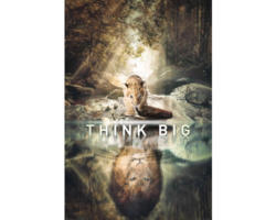 Maxiposter Think Big 61x91,5 cm