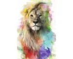 Hornbach Maxiposter Multicolour Lion 61x91,5 cm