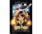 Hornbach Maxiposter Harry Potter 61x91,5 cm