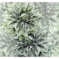 Fototapete 300/280 cm