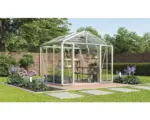 Hornbach Gewächshaus Vitavia Zeus Comfort 6200 Einscheibensicherheitsglas/ Hohlkammerplatten 258 x 242 cm silber