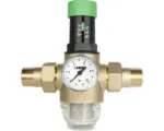 Hornbach Druckminderer Herz mit Manometer 1"
