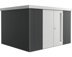 Gerätehaus biohort Neo 3D Variante 3.1 Doppeltür 338 x 282 cm dunkelgrau-silber