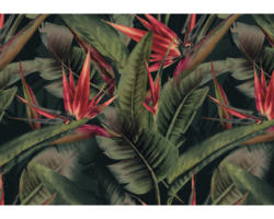 Fototapete Vlies DD120243 Cuba GreenBirdPara grün 4-tlg. 400 x 280 cm