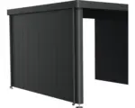 Hornbach Seitenwand Seitendach biohort Gartenhaus Neo 4A/4B/4C/4D dunkelgrau