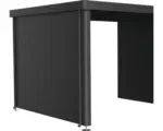Hornbach Seitenwand Seitendach biohort Gartenhaus Neo 3A/3B/3C/3D dunkelgrau