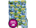 Hornbach Hortensienerde Endless Summer für blaue Hortensien 42x25 L (= 1,05 m³) Palette inkl. Lieferung