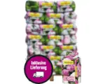 Hornbach Hortensienerde Endless Summer für rosa & weiße Hortensien 42x25 L (= 1,05 m³) Palette inkl. Lieferung