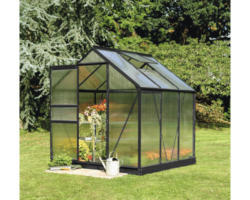 Gewächshaus Halls Popular 66 Polycarbonat 4 mm 193 x 319 cm schwarz