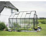 Hornbach Gewächshaus Halls Magnum 128 Polycarbonat 6 mm 257 x 384 cm schwarz