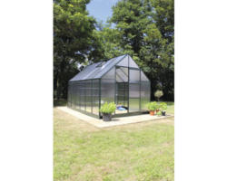 Gewächshaus Halls Universal 128 Polycarbonat 6 mm 257 x 384 cm grün