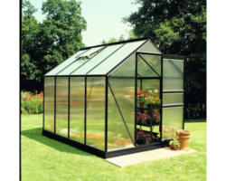 Gewächshaus Halls Popular 86 Polycarbonat 4 mm 193 x 257 cm schwarz