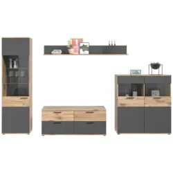 Wohnwand 327/200/44 cm in Grau