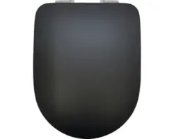 WC-Sitz Dominica Form & Style Uni schwarz matt mit Absenkautomatik
