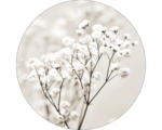 Hornbach Glasbild rund Meadow flowers I Ø 20 cm