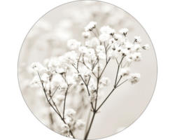 Glasbild rund Meadow flowers I Ø 20 cm