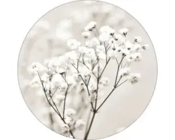 Glasbild rund Meadow flowers I Ø 30 cm