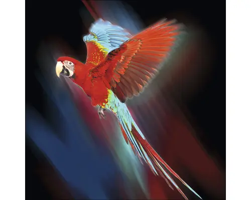 Glasbild Red Parrot 20x20 cm