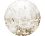 Hornbach Glasbild rund Meadow flowers III Ø 50 cm