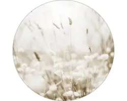 Glasbild rund Meadow flowers III Ø 20 cm