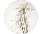Hornbach Glasbild rund Field Flowers II Ø 20 cm