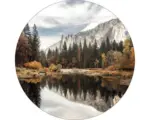Hornbach Glasbild rund Wald am Bergsee II Ø 20 cm