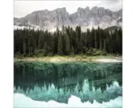 Hornbach Glasbild Wald am Bergsee 20x20 cm