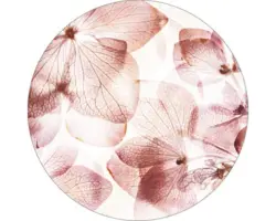 Glasbild rund Transparent leaves II Ø 30 cm