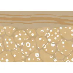 Fototapete 400/280 cm