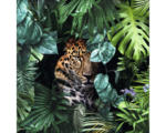 Hornbach Glasbild Jaguar in the jungle 20x20 cm