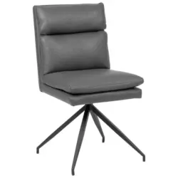 Stuhl in Eisen Lederlook