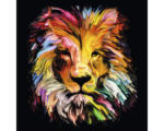 Hornbach Glasbild Colorful Lion Head 20x20 cm