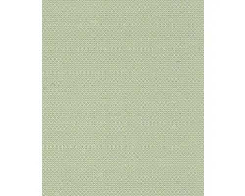 Vliestapete Trianon XIII 570274 Uni grün