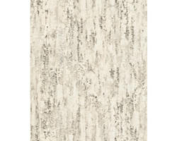 Vliestapete 554052 Composition Birke beige