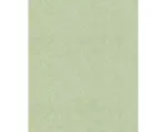Hornbach Vliestapete 554472 Composition Uni pastellgrün