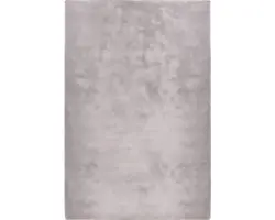 Teppich Shaggy Wellness hellgrau 200x300 cm