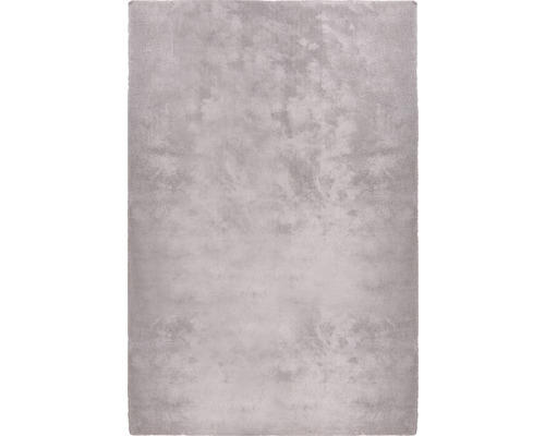 Teppich Shaggy Wellness hellgrau 200x300 cm