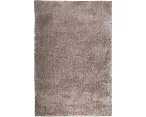 Teppich Shaggy Wellness taupe 200x300 cm