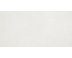 Steingut Wandfliese Malon 30,0x60,0 cm grau