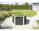 Hornbach Hochbeet klassisch weka 6-Eck 146 x 143 x 68,5 cm anthrazit